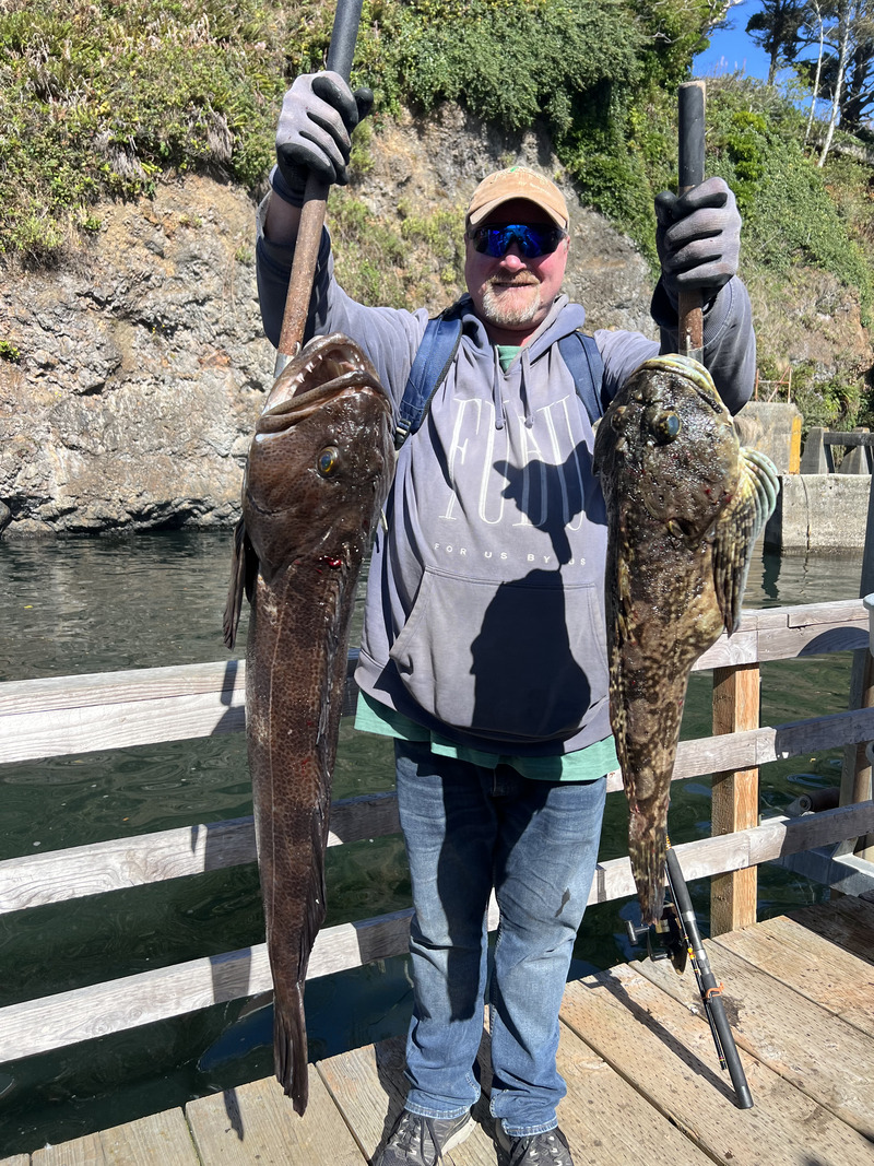 Latest Fish Report