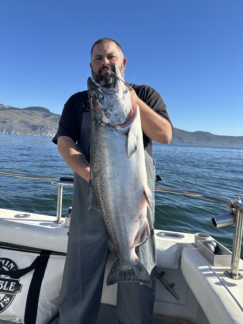 Fish Emeryville's Scores for 10/17/2026 :