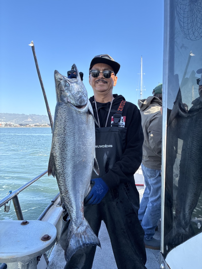 Fish Emeryville's Scores for 10/23/2026 :