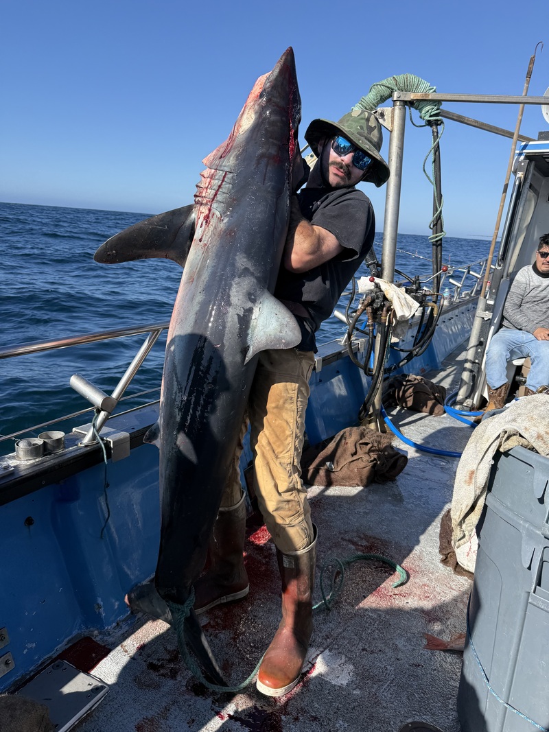 Fish Emeryville's Scores for 10/24/2026 :