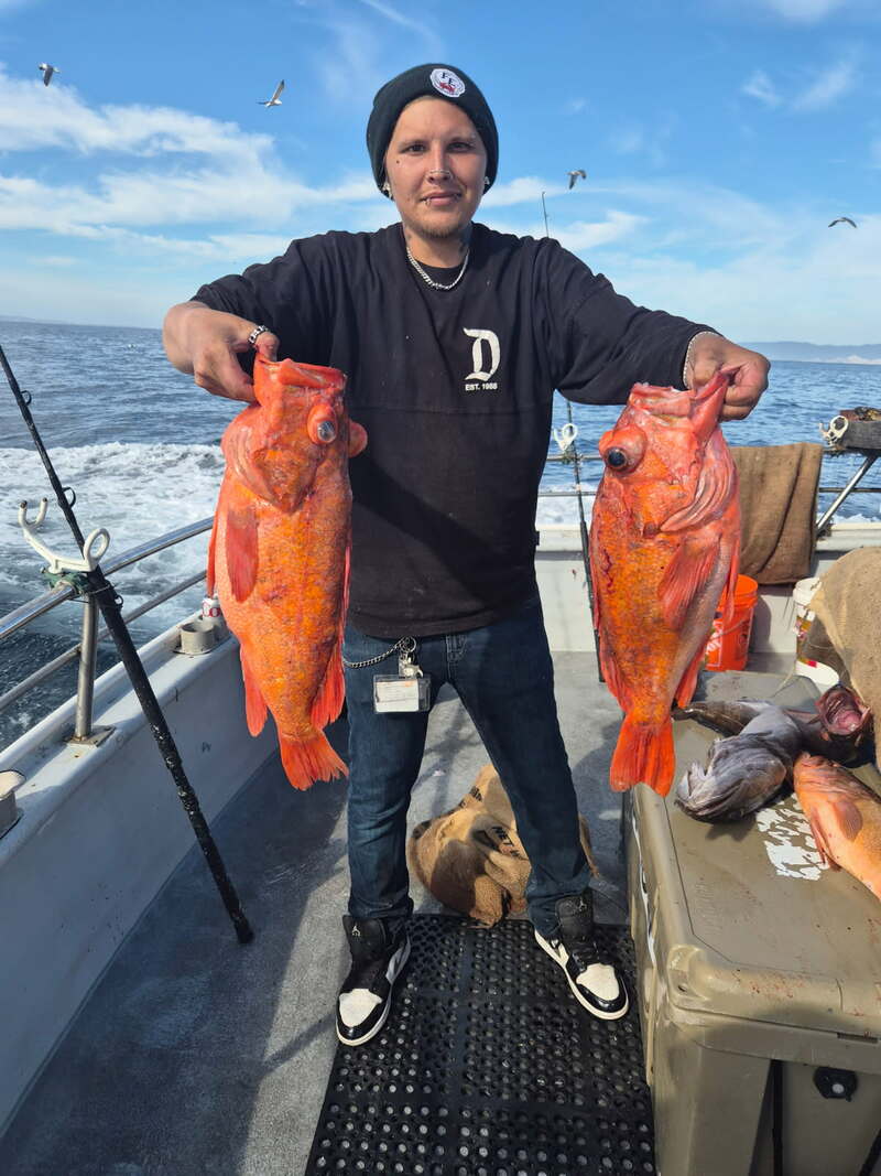 Fish Emeryville's Scores for 10/28/2026: