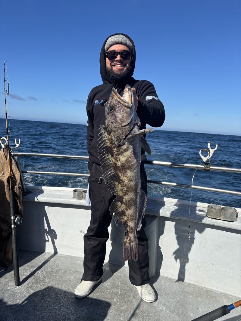 Fish Emeryville's Update for 10/29/2026 :