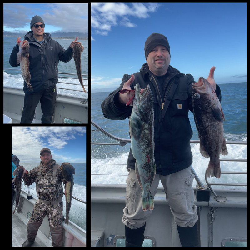 Latest Fish Report