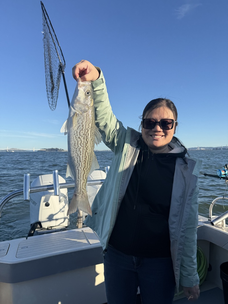 Fish Emeryville's Scores for 3/8/2026