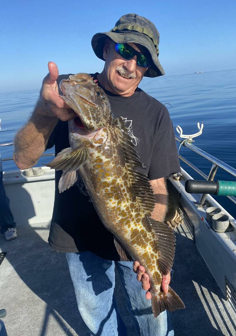 4/2/2026 Afternoon Update