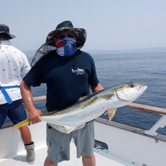 Seaforth Sportfishing Fish Reports