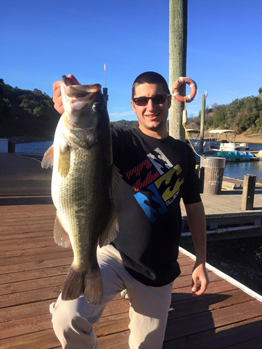 7.4 pound Bass at Chabot