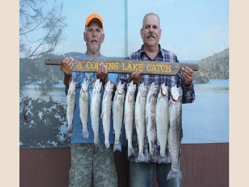 Collins Lake Fish Report