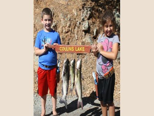 Collins Lake Fish Report