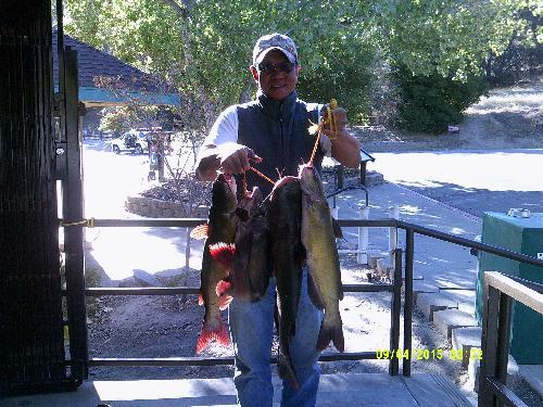 Lake Del Valle Fishing Report