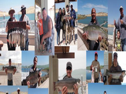 Los Vaqueros Fishing Report