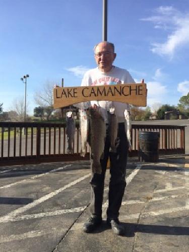 Lake Camanche Fishing Report