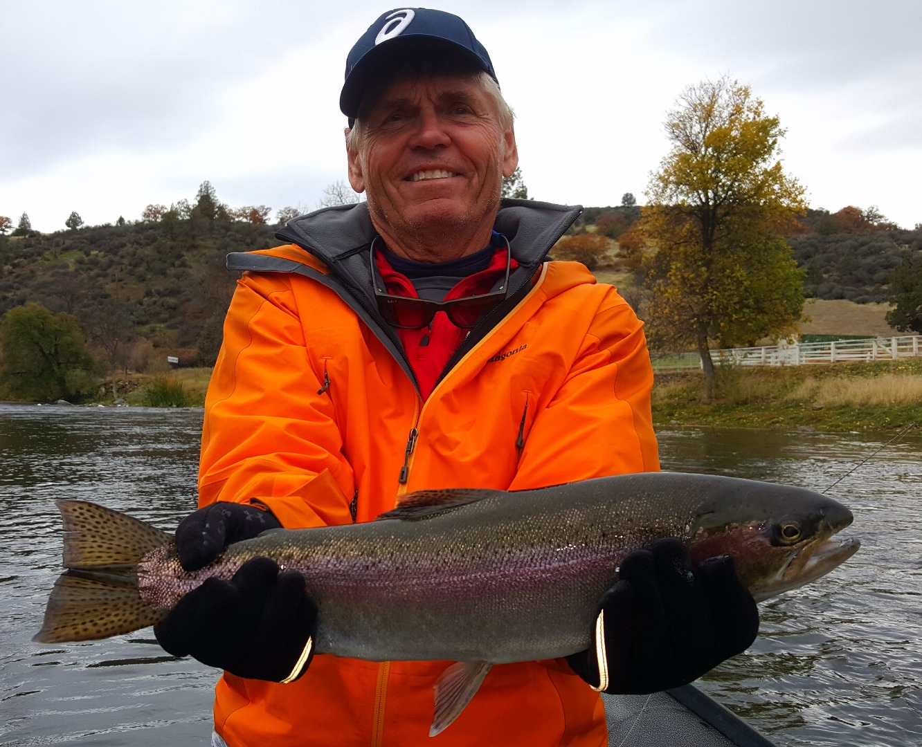 Hungry Hard Fighting Steelhead