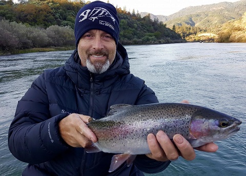 Sac River fall steelhead fishing picking up!