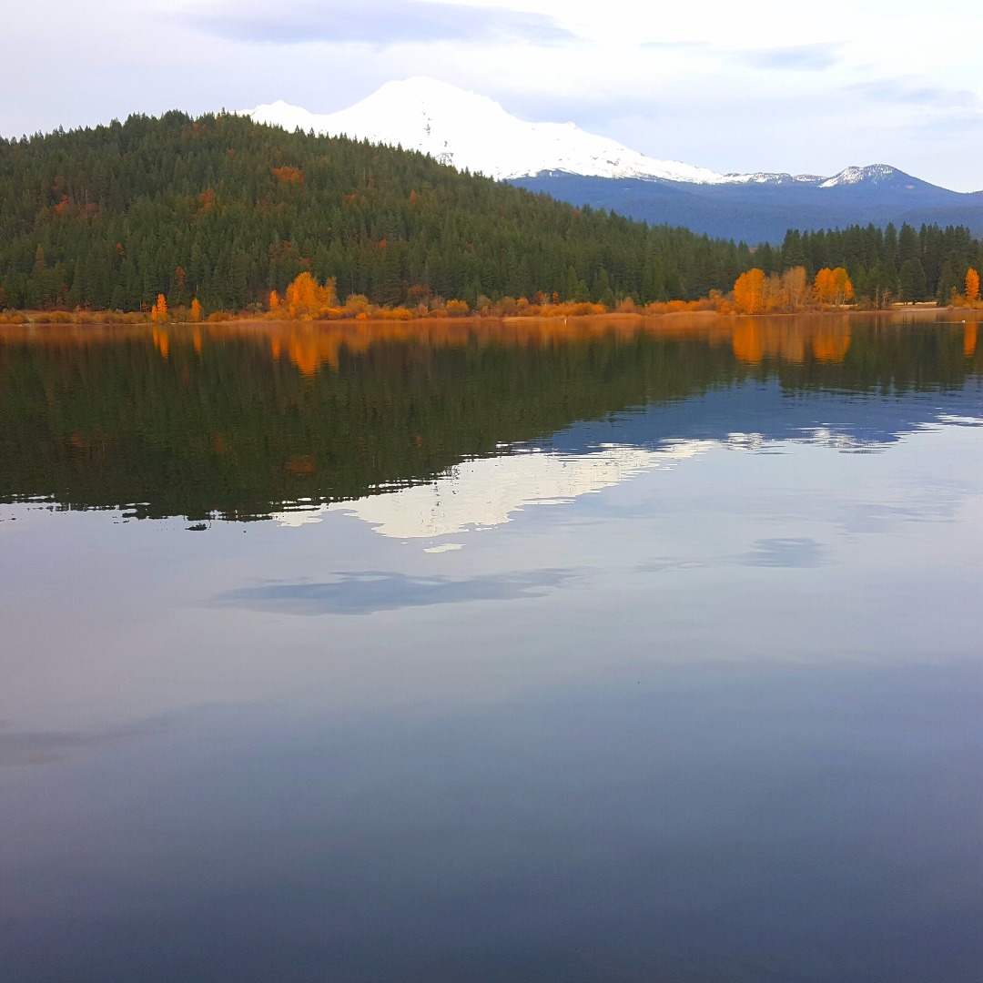 Magestic moments and great fishing 