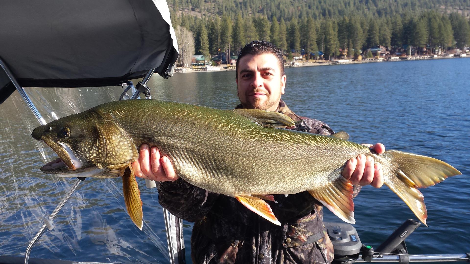 Fish reports, Fishing, Trout, Fly Fishing, Angling, Eastern Sierras, CA, Ca...