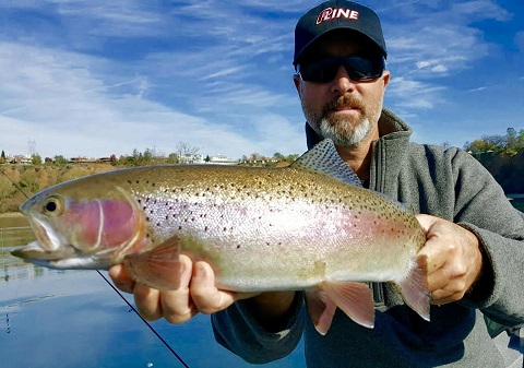 Sac River Thanksgiving steelhead fishing