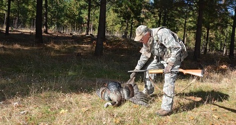 Hunt Fall Turkeys Now