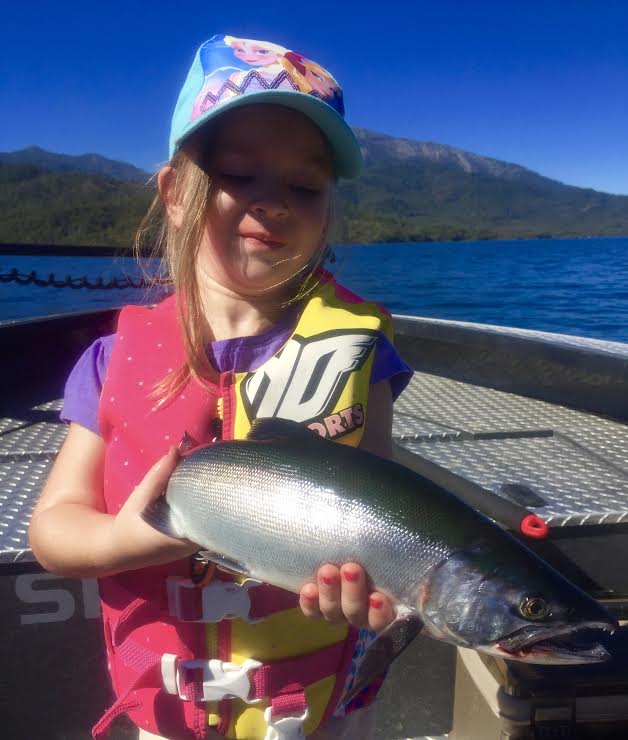 Whiskeytown Lake - Whiskeytown Lake Kokanee spawn in huge numbers