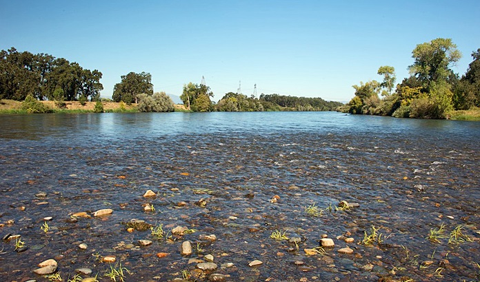 Sacramento River - How water temp affects salmon eggs