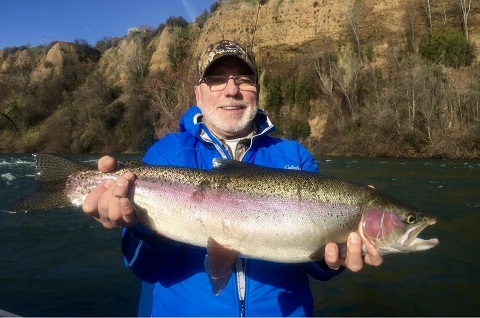 Sacramento River steelhead get Shasta water