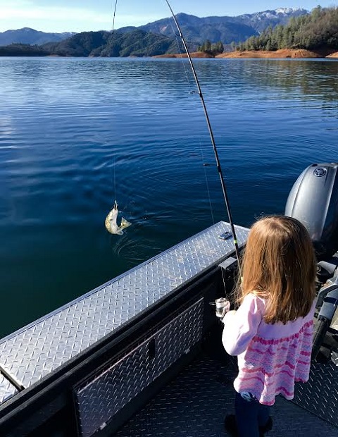 New year for Shasta Lake Spotted bass!