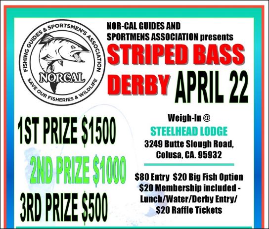 NCGASA holds first annual Striper Derby