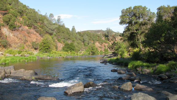 Upper Tuolumne River habitat assessment
