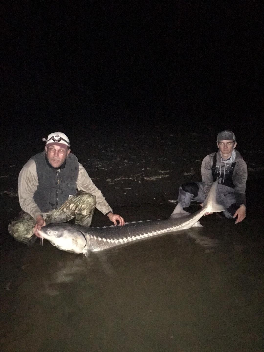 Sacramento River Levels Dropping, Sturgeon Bite Popping!!!