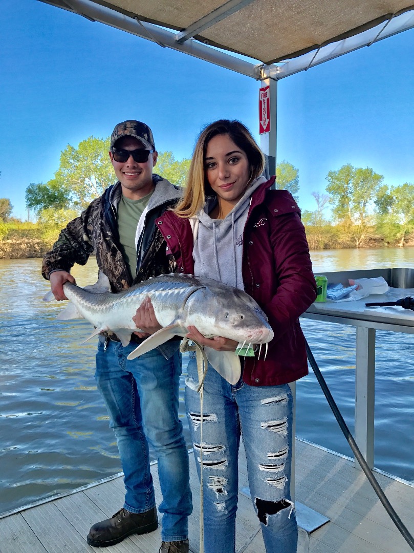 Sturgeon Fishing On The Sacramento River In Colusa, CA Stays Red Hot!!!