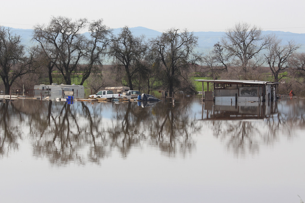 Hell or High Water: What Floods Mean for Wildlife
