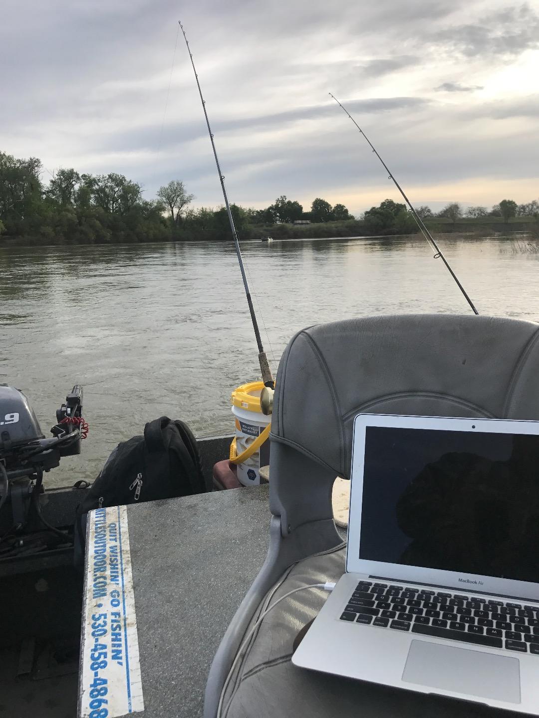 Striped Bass Fishing Report Live Time On The Sacramento River In Colusa, Ca. 8:30am 