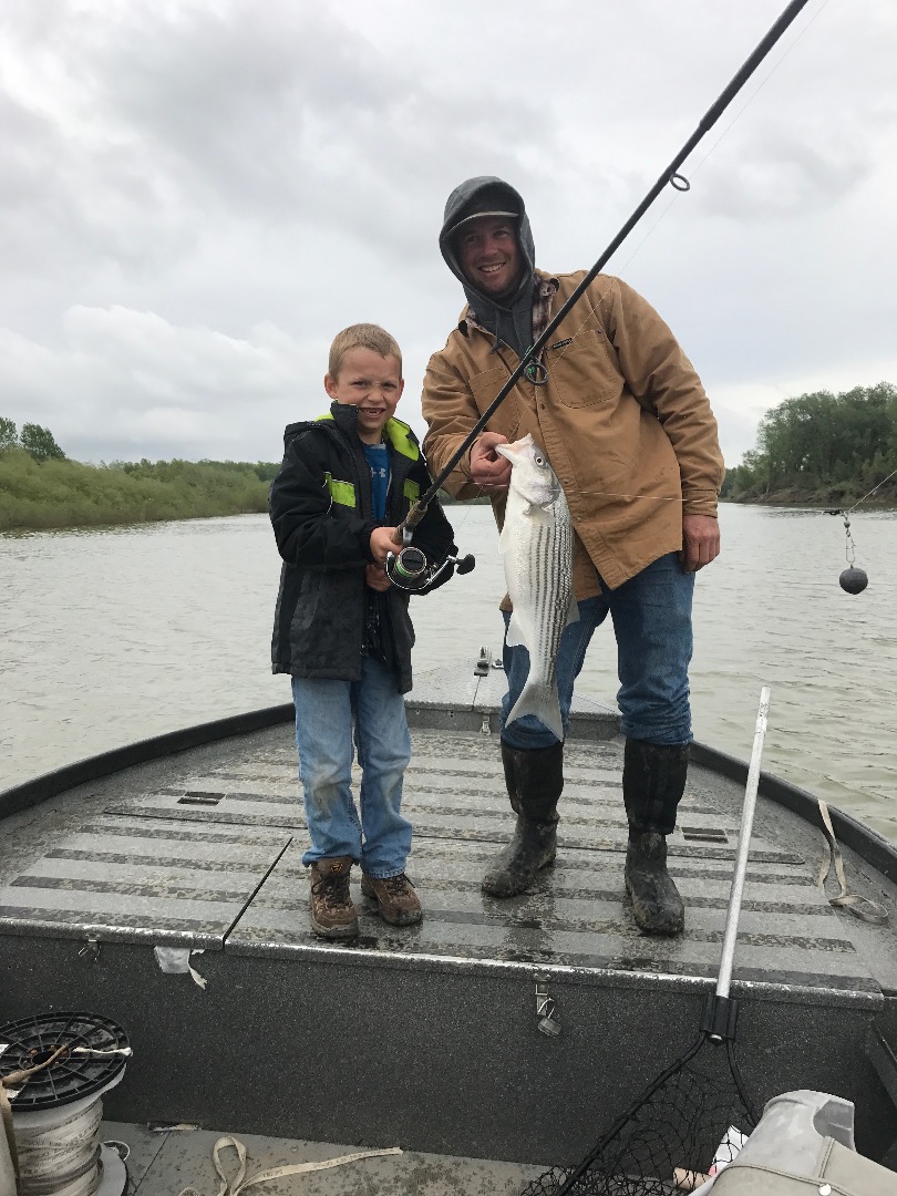 Striped Bass Show Their Faces As The Sacramento River Recedes!!!