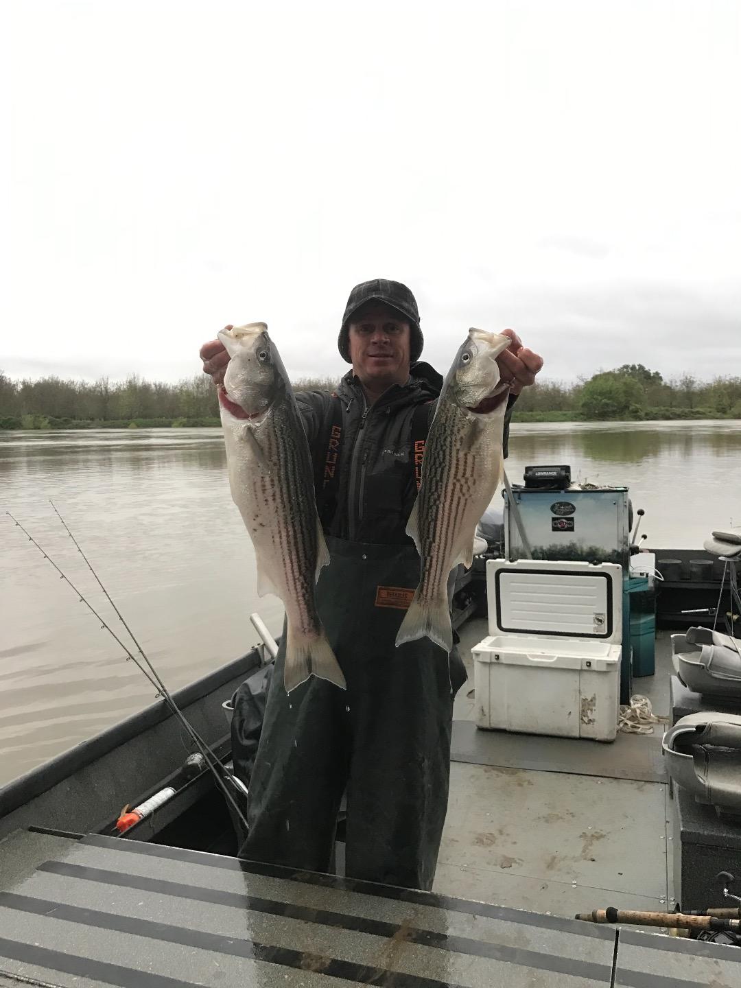 Easter Afternoon Easy Limits On The Sacramento River!!!