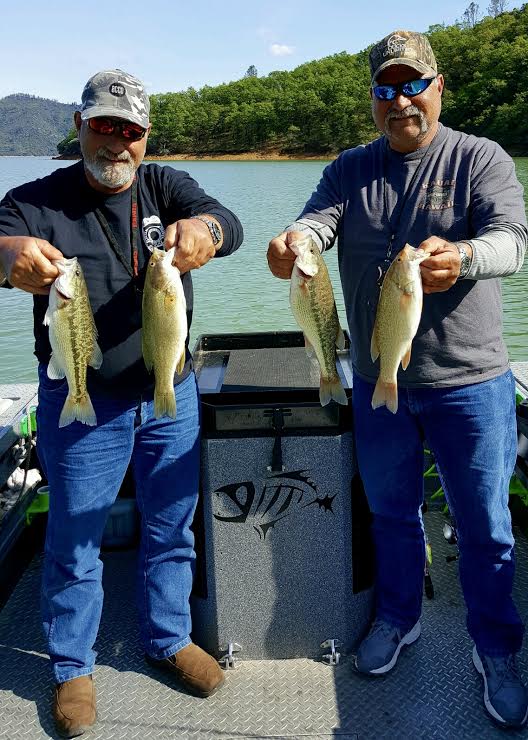 Shasta Lake bass report