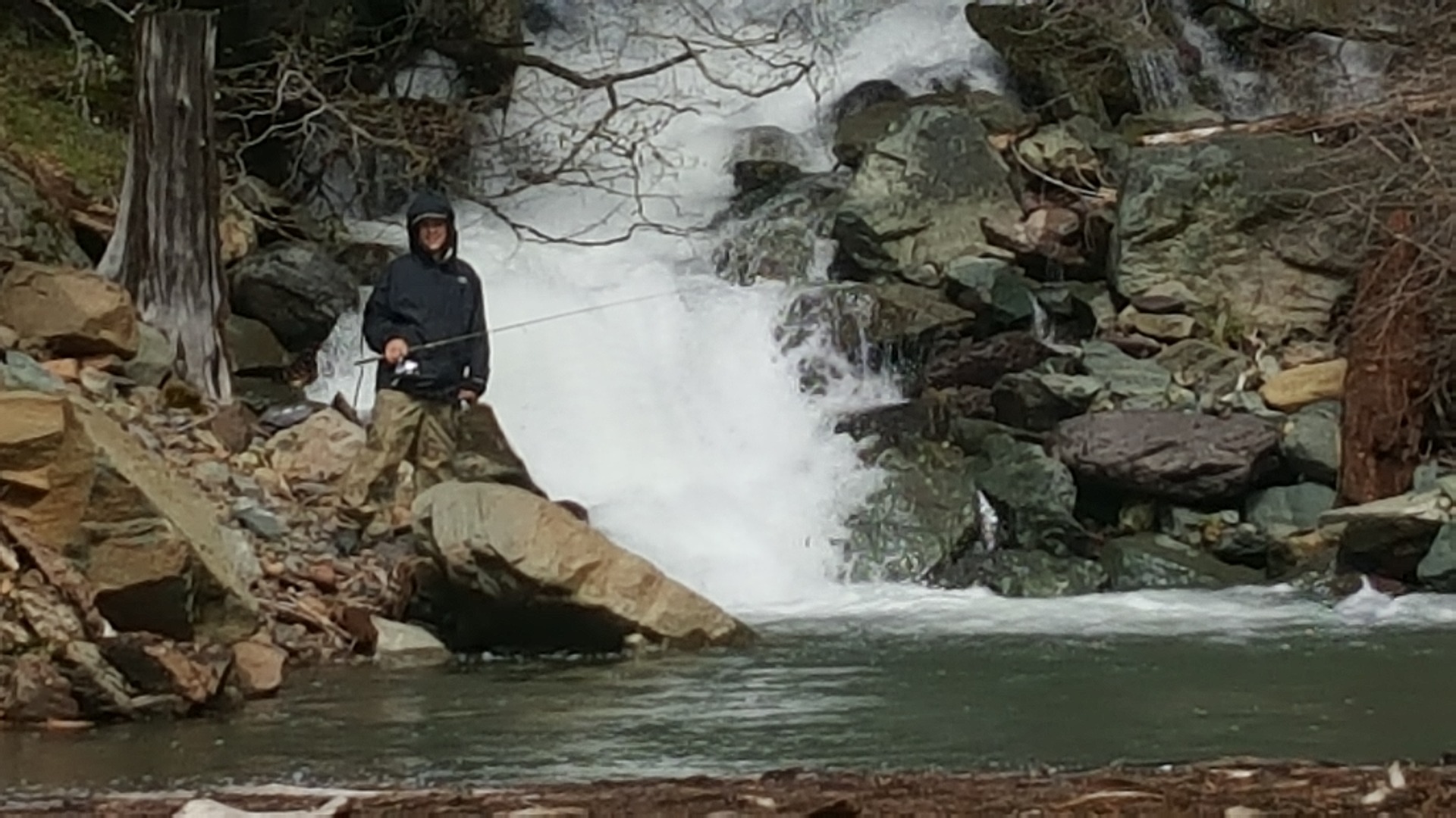 McCloud Trout on the Downrigger