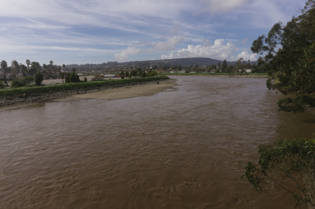 The San Lorenzo River and its crucial fish habitat