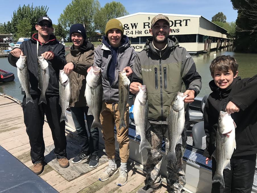 River run Striped bass report!