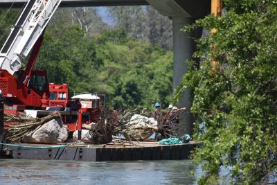  First-of-its-kind California Chinook Salmon Restoration Project