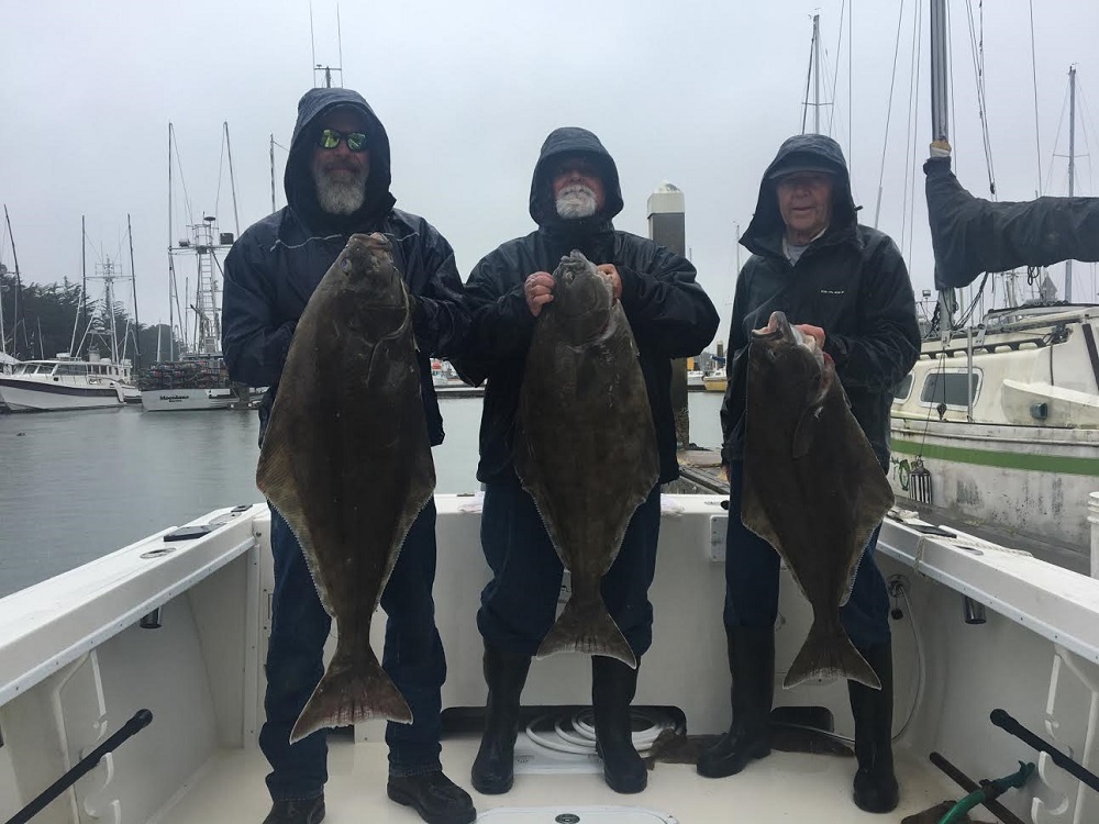 Weather permitting, halibut and rockfish on the bite