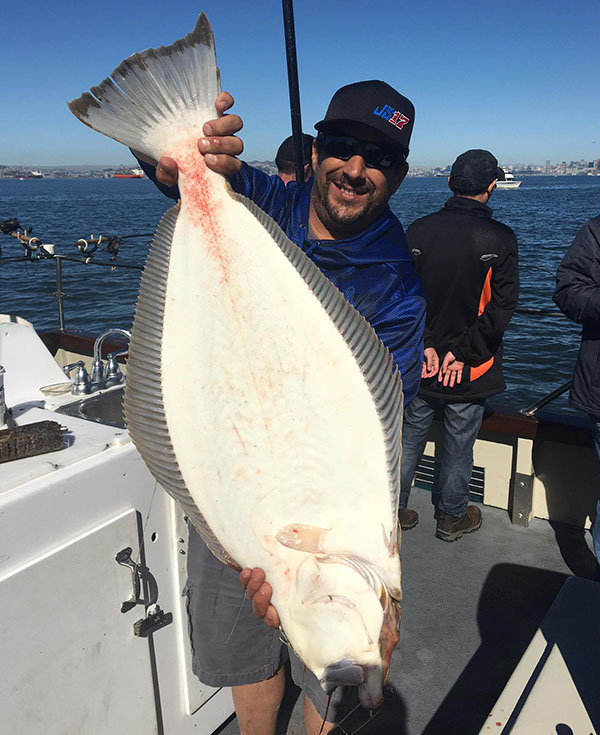 Halibut to 28 Pounds