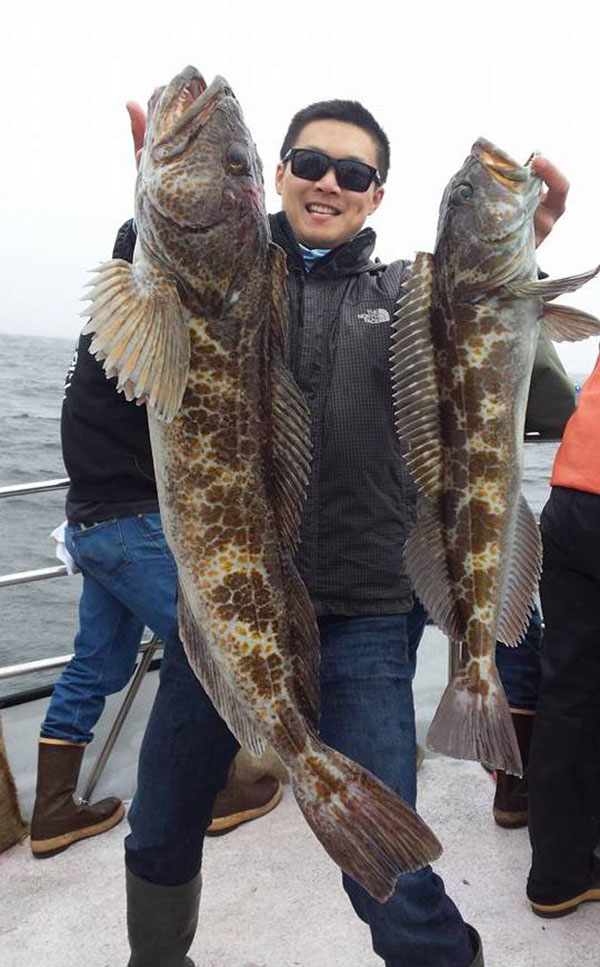 Tigerfish Cod Report