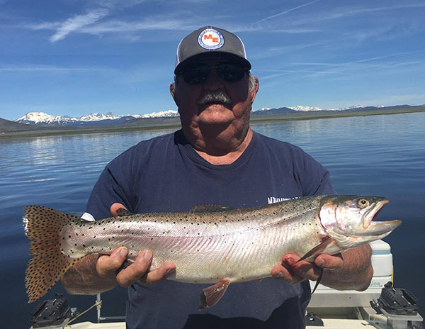 Crowley Lake Fish Report - Mammoth Lakes, CA (Mono County)