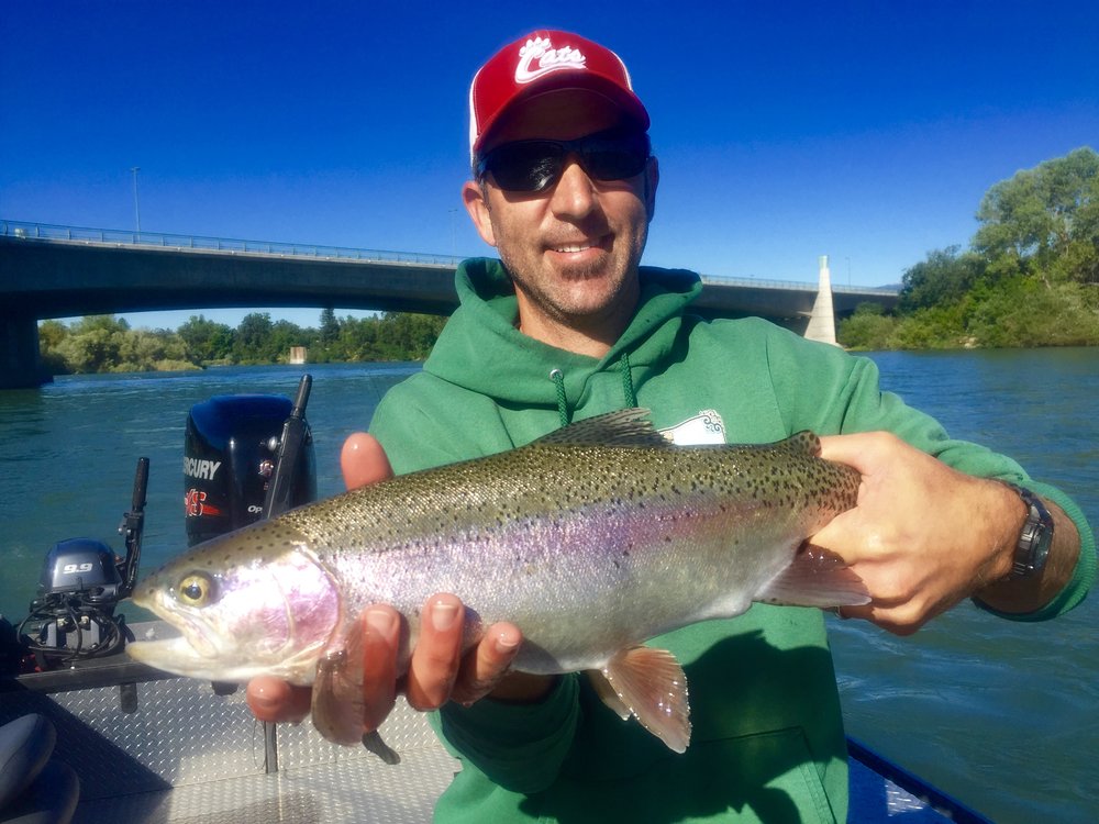 August Sacramento River Rainbows