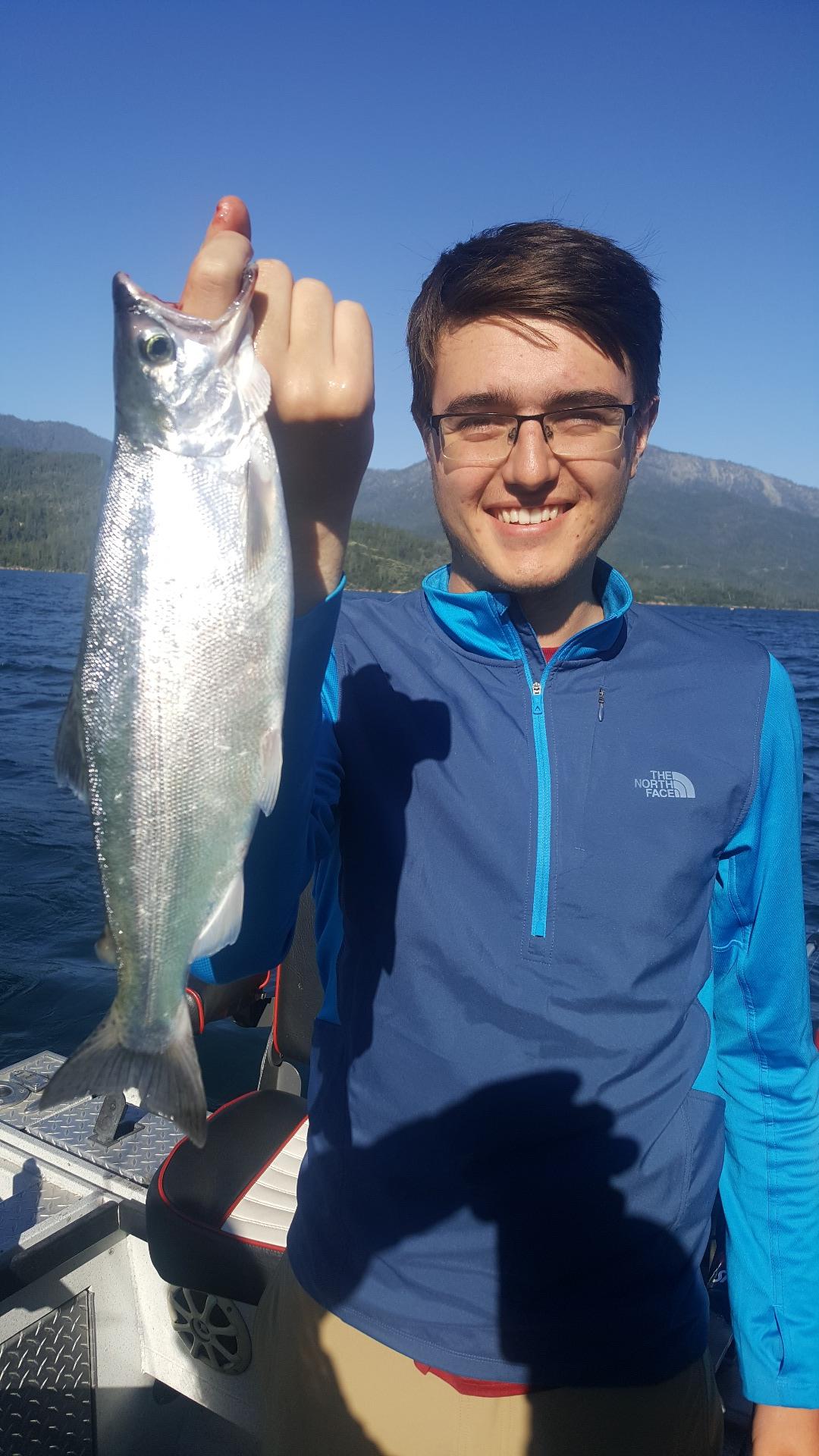 Fish summer salmon