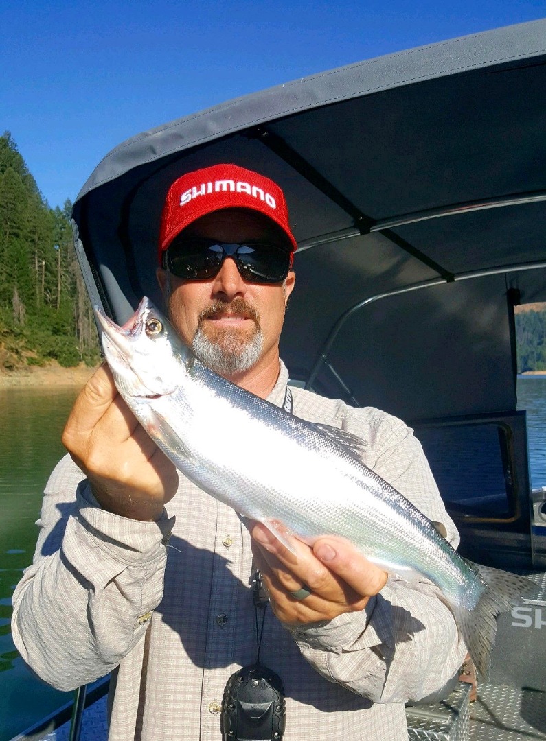 Trinity Lake salmon fishing report