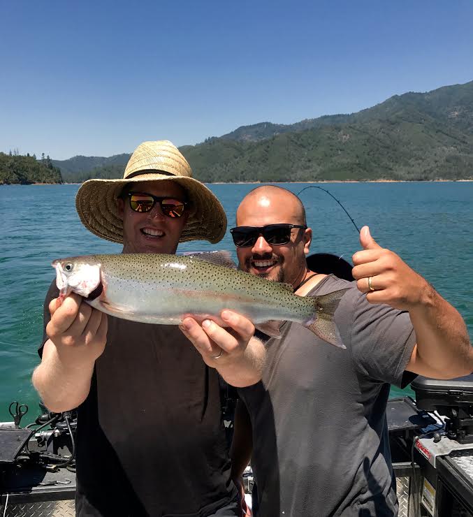 Shasta Lake trout laying low