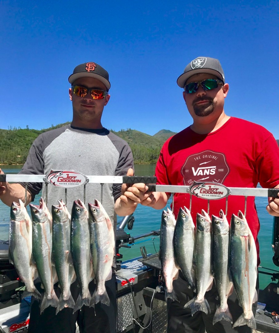 Trinity and Whiskeytown Lakes are producing limits of big kokanee