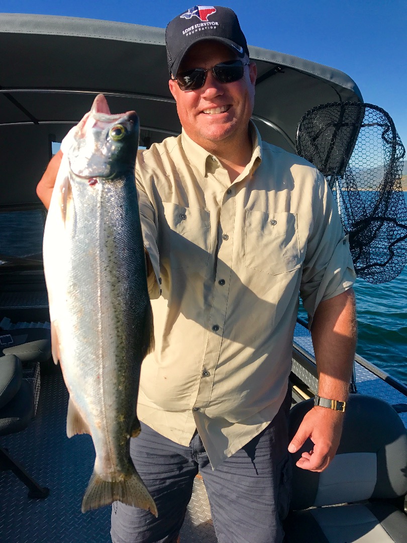 Shasta rainbow bite is on!