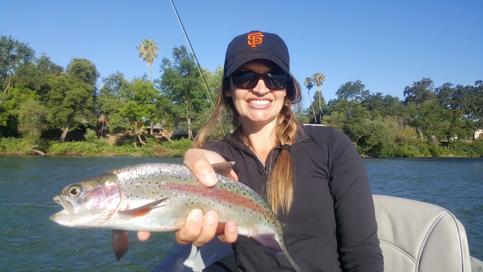Wild Sacramento river trout